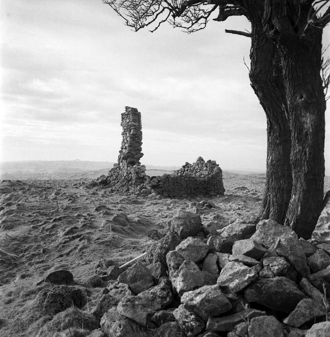 Breck Hollow Coe 1974